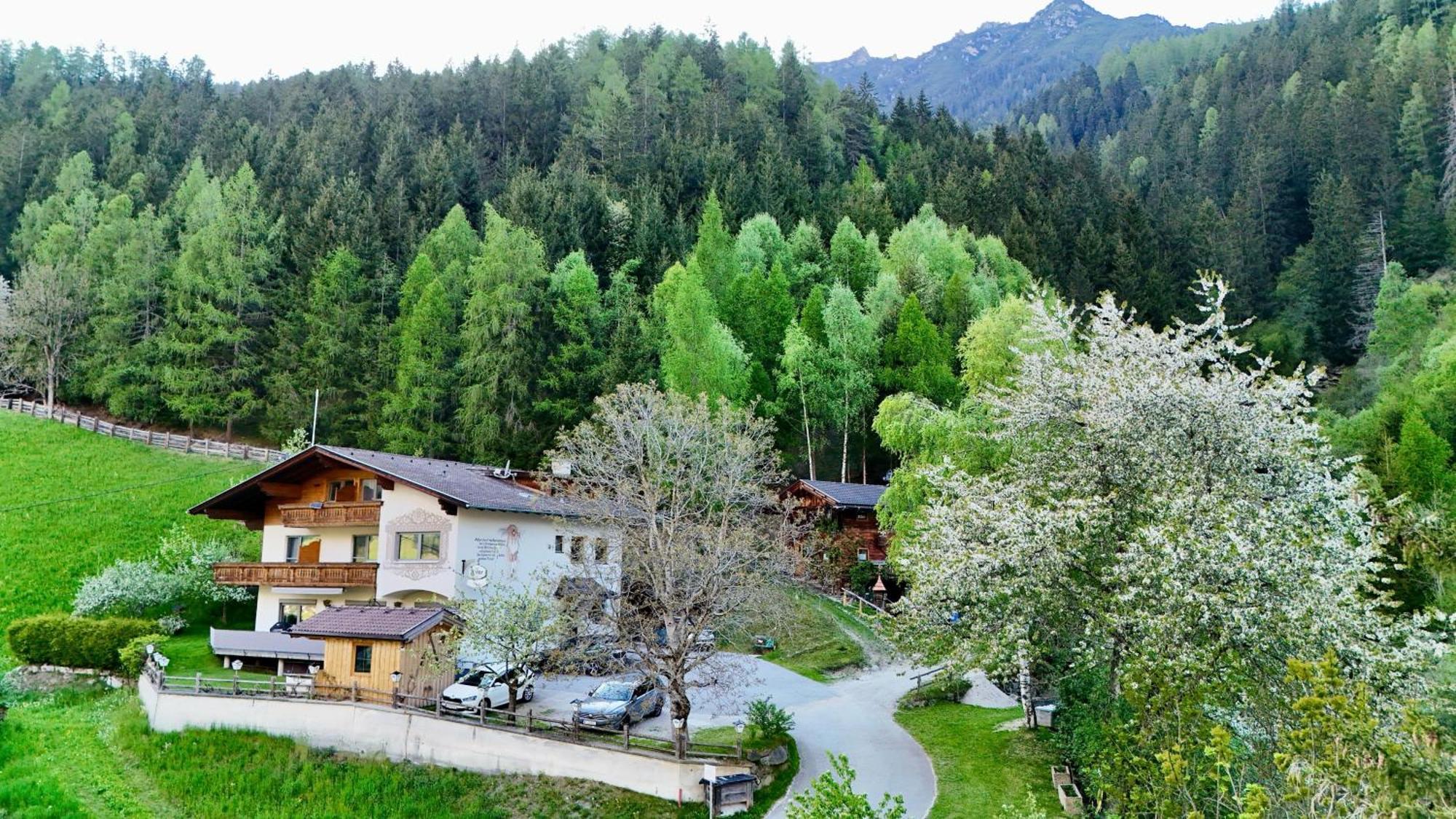Pension Riese Neustift im Stubaital Exteriör bild